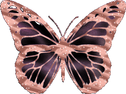glitter butterfly brown