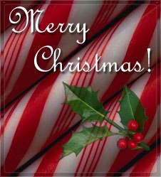 Merry Christmas with candy canes and holly