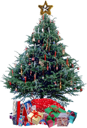 large Christmas tree with presents