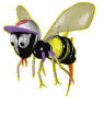 flying bee