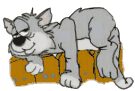 sleepy cat