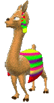 llama