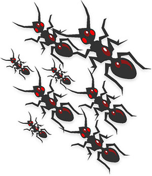 army of ants