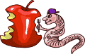 worm eating apple