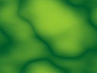lime green background image