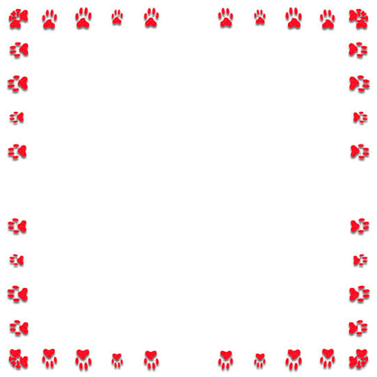 paw print border