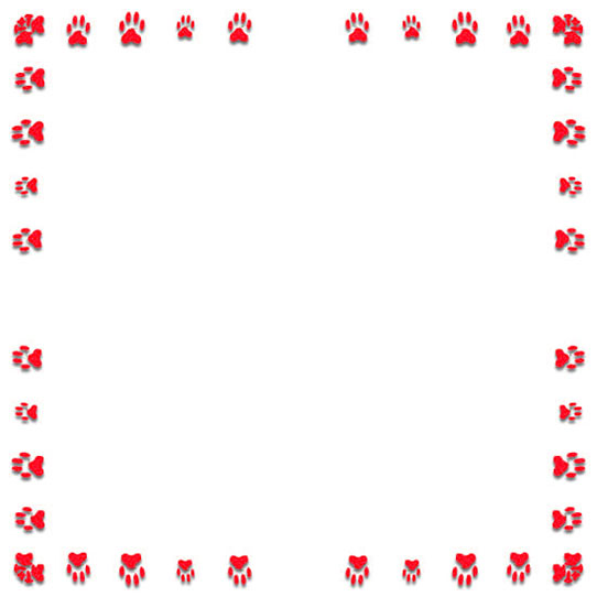 paw print border