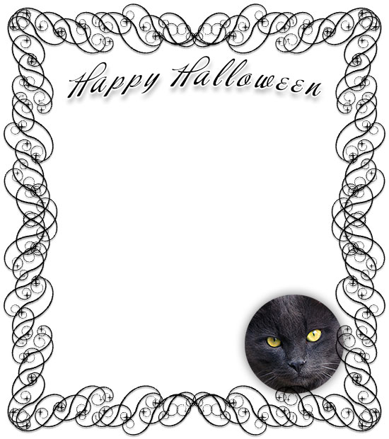 black cat Halloween