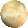 bone bullet transparent background