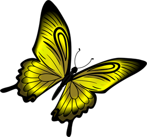 yellow butterfly