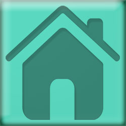 glass home button green