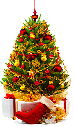 decorated Christmas Tree