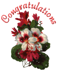 congratulations with flowers animation