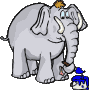 painting elephant