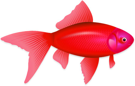 red fish