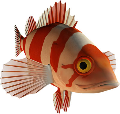 striped fish