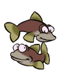 2 fish friends