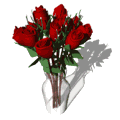 red roses animation