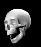 talking skull animation