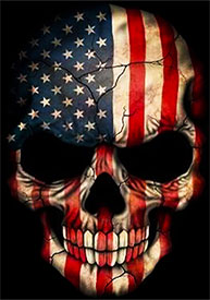 patriotic skull