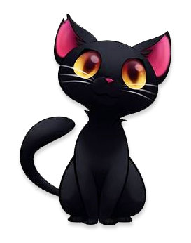 black cat