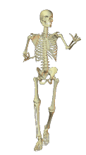 crazy skeleton animated
