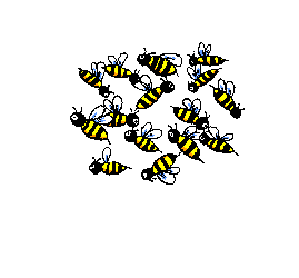 team bee
