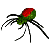 green and red spider
