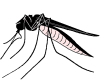 mosquitoe animation