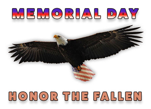 Honor The Fallen