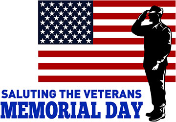 Saluting The Veterans - Soldier