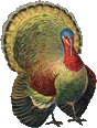 turkey png image