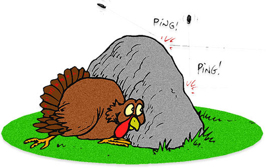 turkey hiding