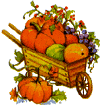 pumpkins, gourds, mellons and flowers