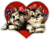 cats in love