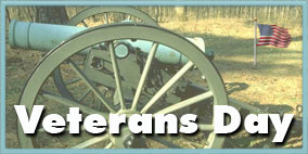 cannon and American flag